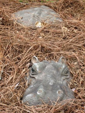 garden hippo