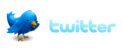 Twitter bird and logo